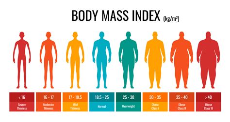 Body visualizer bmi - The body mass index, or BMI, overcomes this problem by finding a ratio of your weight to your height and returning a single number. This number will fit into a category on the scale of BMI ranges, which are …